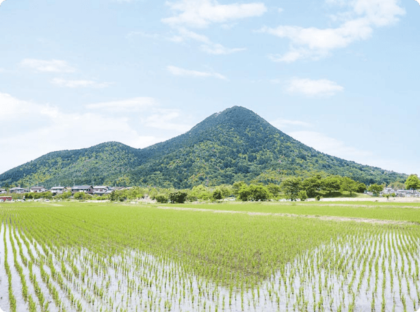 三上山と水田